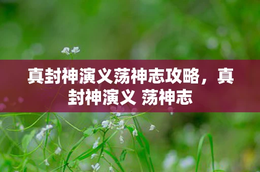 真封神演义荡神志攻略，真封神演义 荡神志