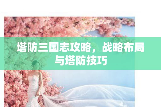 战略布局与塔防技巧图片