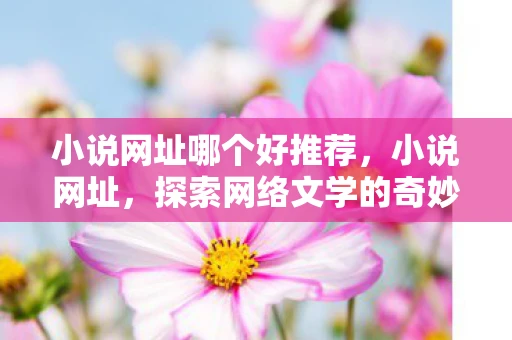 小说网址哪个好推荐，小说网址，探索网络文学的奇妙世界