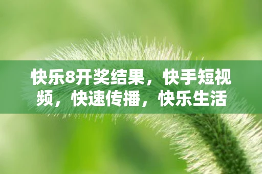 快乐8开奖结果，快手短视频，快速传播，快乐生活