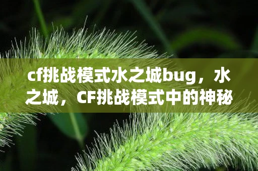 cf挑战模式水之城bug，水之城，CF挑战模式中的神秘水域探险