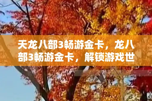 天龙八部3畅游金卡，龙八部3畅游金卡，解锁游戏世界的尊贵通行证