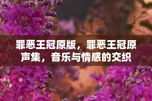 罪恶王冠原版，罪恶王冠原声集，音乐与情感的交织