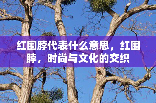 红围脖代表什么意思，红围脖，时尚与文化的交织