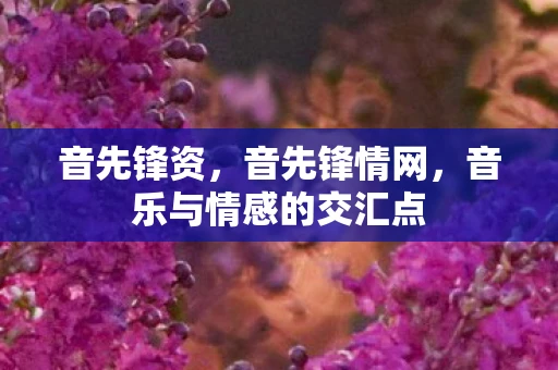 音先锋资，音先锋情网，音乐与情感的交汇点