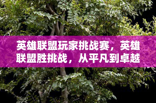 英雄联盟玩家挑战赛，英雄联盟胜挑战，从平凡到卓越的蜕变之路