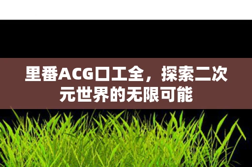 里番ACG口工全，探索二次元世界的无限可能