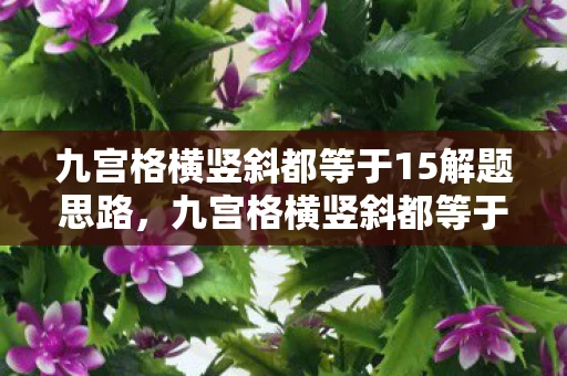 九宫格横竖斜都等于15解题思路,九宫格横竖斜都等于15,智慧与艺术的结合 九宫格横竖斜都等于15解题思路,九宫格横竖斜都等于15,智慧与艺术的结合