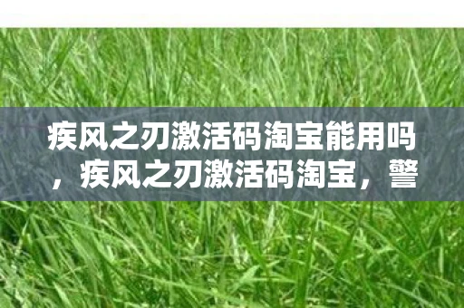 疾风之刃激活码淘宝能用吗,疾风之刃激活码淘宝,警惕虚假交易的陷阱 疾风之刃激活码淘宝能用吗,疾风之刃激活码淘宝,警惕虚假交易的陷阱
