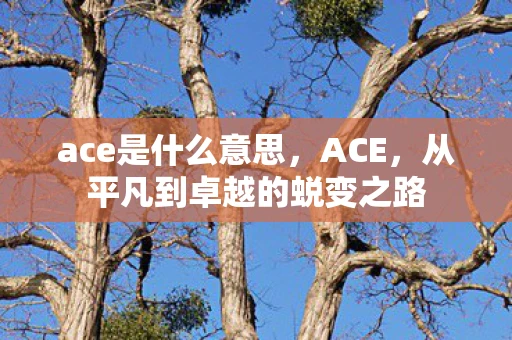 ace是什么意思，ACE，从平凡到卓越的蜕变之路