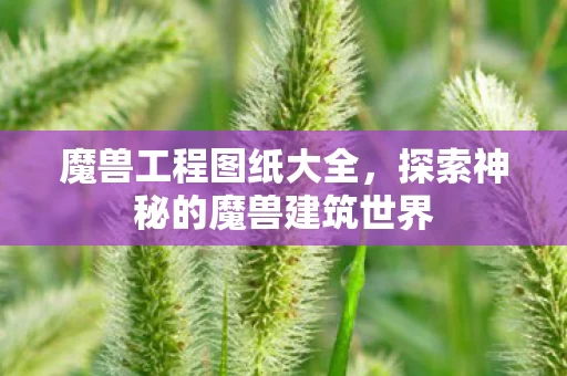 探索神秘的魔兽建筑世界图片