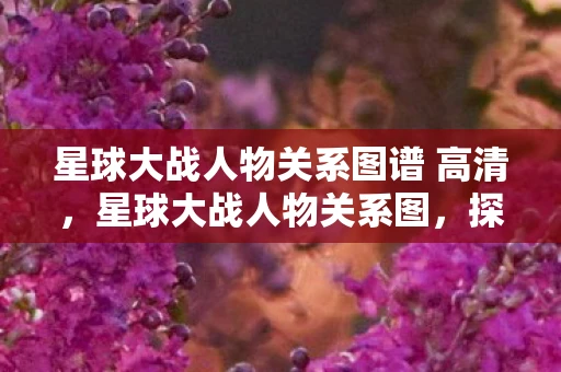 星球大战人物关系图谱 高清，星球大战人物关系图，探索银河系中的复杂联系