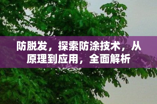 防脱发,探索防涂技术,从原理到应用,全面解析 防脱发,探索防涂技术,从原理到应用,全面解析