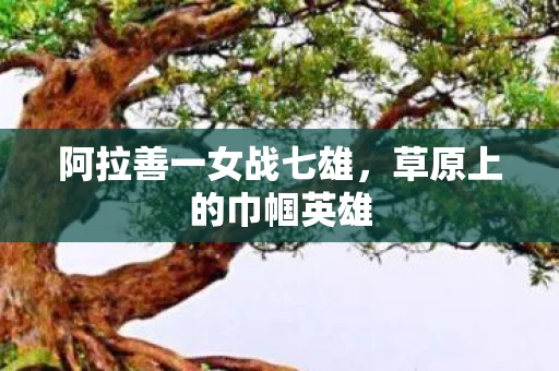 阿拉善一女战七雄,草原上的巾帼英雄 阿拉善一女战七雄,草原上的巾帼英雄