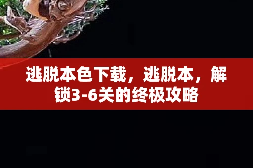 逃脱本色下载，逃脱本，解锁3-6关的终极攻略