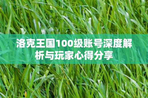 洛克王国100级账号深度解析与玩家心得分享图片