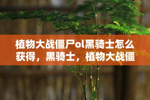 植物大战僵尸ol黑骑士怎么获得,黑骑士,植物大战僵尸OL中的传奇角色 植物大战僵尸ol黑骑士怎么获得,黑骑士,植物大战僵尸OL中的传奇角色