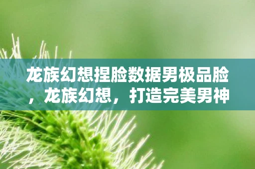 龙族幻想捏脸数据男极品脸,龙族幻想,打造完美男神,揭秘捏脸数据背后的秘密 龙族幻想捏脸数据男极品脸,龙族幻想,打造完美男神,揭秘捏脸数据背后的秘密