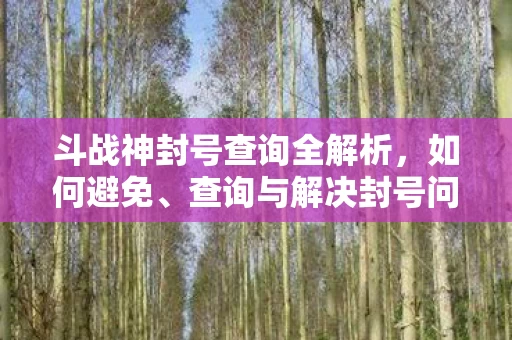 斗战神封号查询全解析图片
