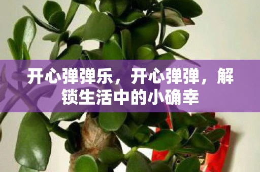 开心弹弹乐,开心弹弹,解锁生活中的小确幸 开心弹弹乐,开心弹弹,解锁生活中的小确幸