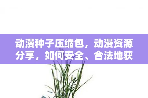 动漫种子压缩包,动漫资源分享,如何安全、合法地获取动漫种子下载 动漫种子压缩包,动漫资源分享,如何安全、合法地获取动漫种子下载