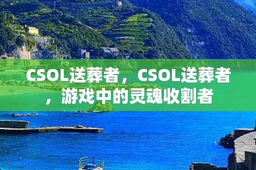 CSOL送葬者,CSOL送葬者,游戏中的灵魂收割者 CSOL送葬者,CSOL送葬者,游戏中的灵魂收割者