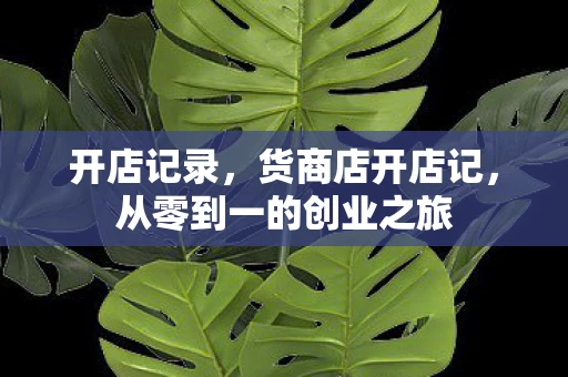 开店记录,货商店开店记,从零到一的创业之旅 开店记录,货商店开店记,从零到一的创业之旅