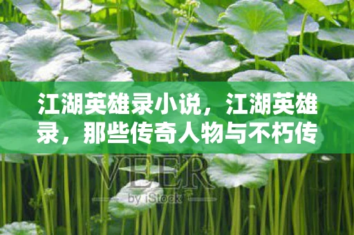 江湖英雄录小说,江湖英雄录,那些传奇人物与不朽传说 江湖英雄录小说,江湖英雄录,那些传奇人物与不朽传说