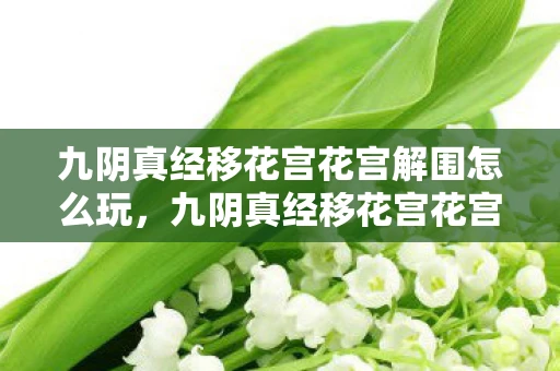 九阴真经移花宫花宫解围怎么玩,九阴真经移花宫花宫解围 九阴真经移花宫花宫解围怎么玩,九阴真经移花宫花宫解围