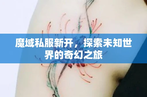 魔域私服新开,探索未知世界的奇幻之旅 魔域私服新开,探索未知世界的奇幻之旅