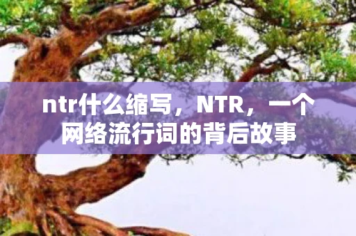 ntr什么缩写，NTR，一个网络流行词的背后故事
