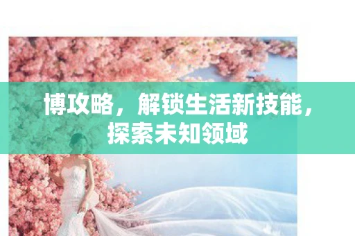 博攻略,解锁生活新技能,探索未知领域 博攻略,解锁生活新技能,探索未知领域