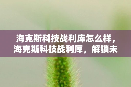 海克斯科技战利库怎么样，海克斯科技战利库，解锁未来科技的神秘钥匙