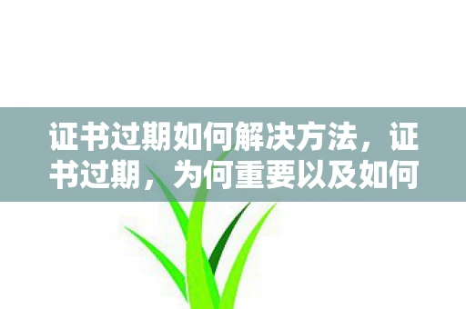 证书过期如何解决方法，证书过期，为何重要以及如何避免