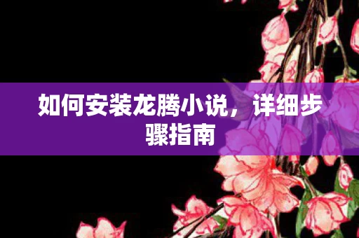 如何安装龙腾小说图片