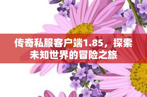 传奇私服客户端1.85，探索未知世界的冒险之旅
