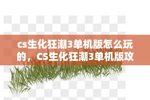 cs生化狂潮3单机版怎么玩的，CS生化狂潮3单机版攻略，如何玩转经典射击游戏