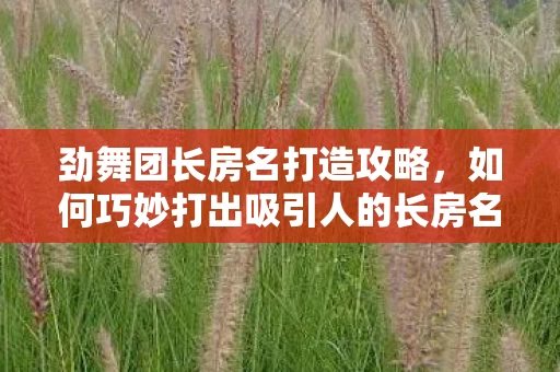 如何巧妙打出吸引人的长房名图片