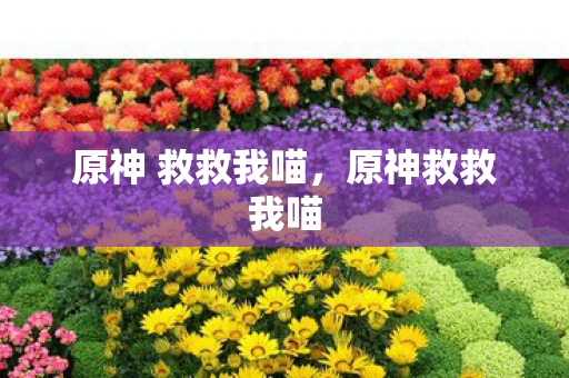 原神 救救我喵,原神救救我喵 原神 救救我喵,原神救救我喵