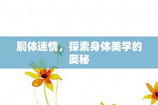 胴体迷情，探索身体美学的奥秘