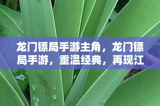 龙门镖局手游主角,龙门镖局手游,重温经典,再现江湖豪情 龙门镖局手游主角,龙门镖局手游,重温经典,再现江湖豪情