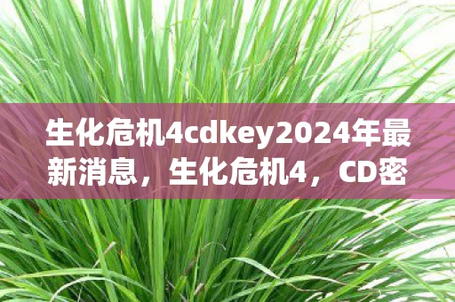 生化危机4cdkey2024年最新消息，生化危机4，CD密钥的传奇故事