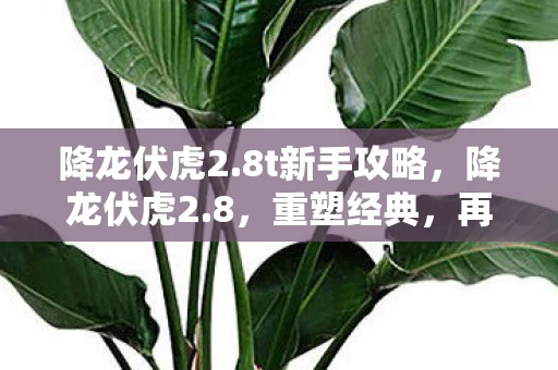 降龙伏虎2.8t新手攻略，降龙伏虎2.8，重塑经典，再续传奇