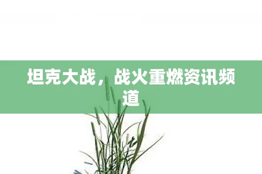 战火重燃资讯频道图片