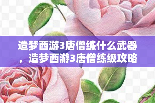 造梦西游3唐僧练什么武器，造梦西游3唐僧练级攻略，如何快速提升等级