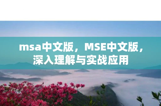 msa中文版，MSE中文版，深入理解与实战应用