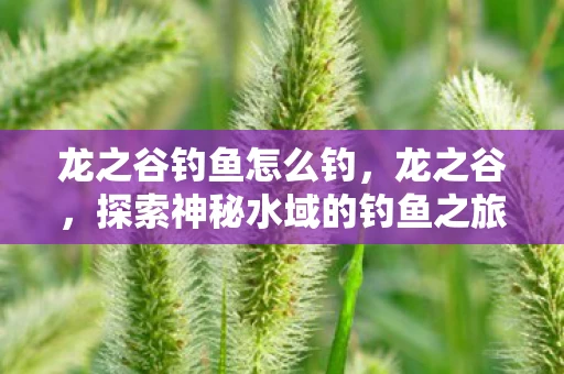 龙之谷钓鱼怎么钓,龙之谷,探索神秘水域的钓鱼之旅 龙之谷钓鱼怎么钓,龙之谷,探索神秘水域的钓鱼之旅