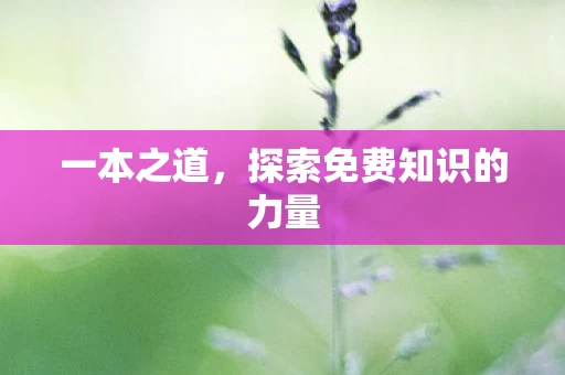 一本之道,探索免费知识的力量 一本之道,探索免费知识的力量