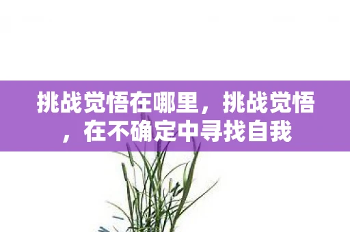 挑战觉悟在哪里，挑战觉悟，在不确定中寻找自我