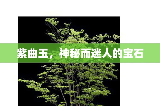 紫曲玉，神秘而迷人的宝石